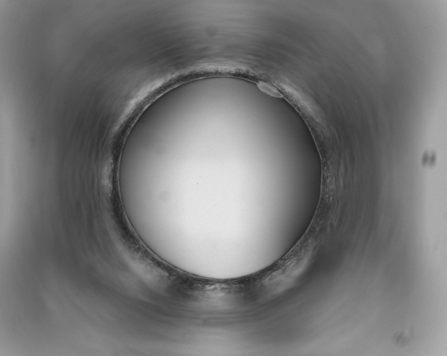 X0000090710064200708101514