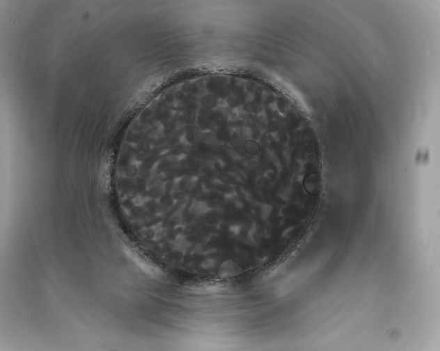 X0000090710065200708101514