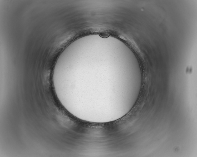 X0000090710066200708101514