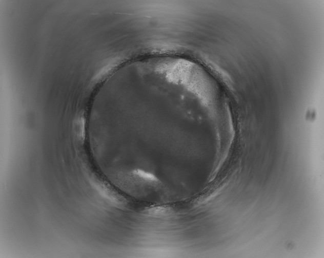 X0000090710067200708101514