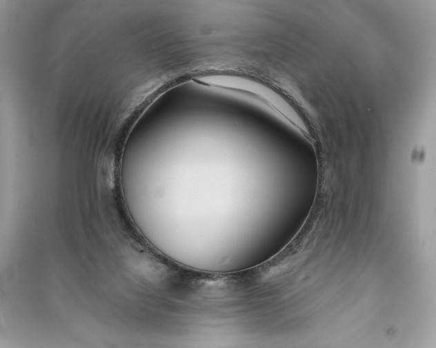 X0000090710068200708101514