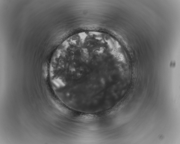 X0000090710069200708101514