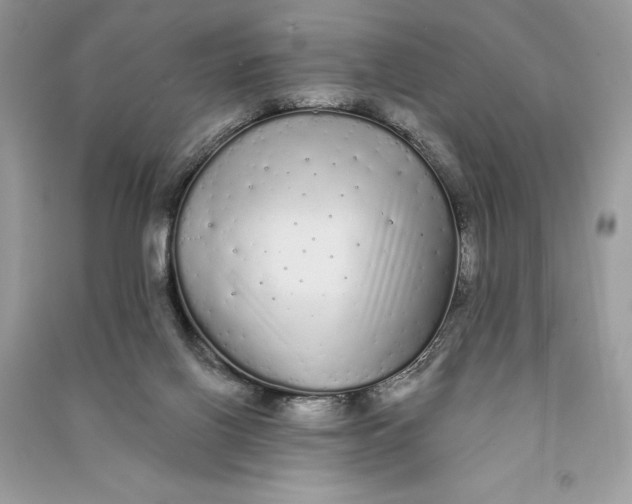 X0000090710070200708101514