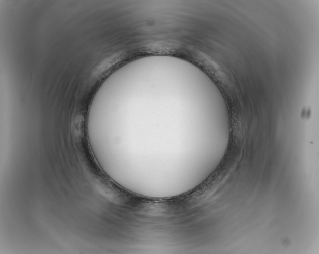 X0000090710071200708101514