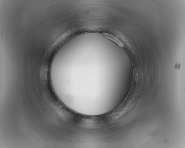 X0000090710072200708101514