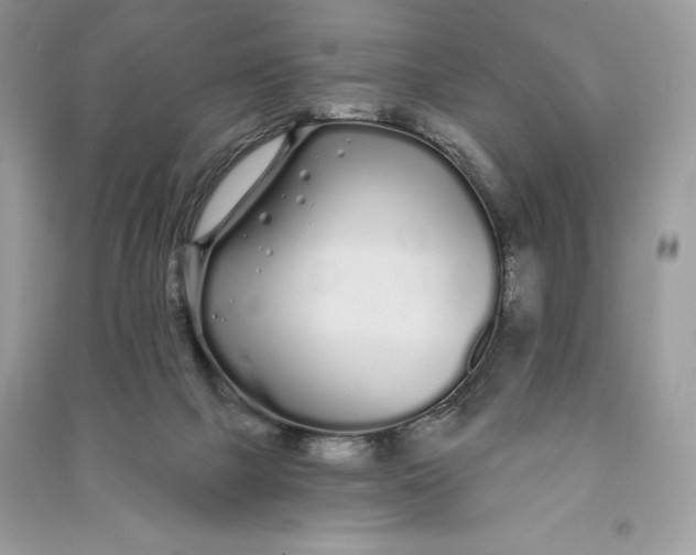 X0000090710073200708101514