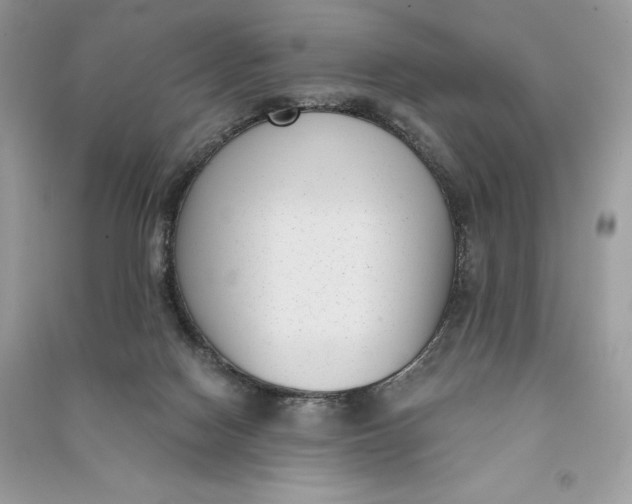 X0000090710074200708101514