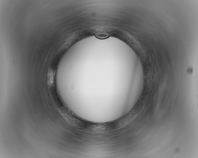 X0000090710075200708101514