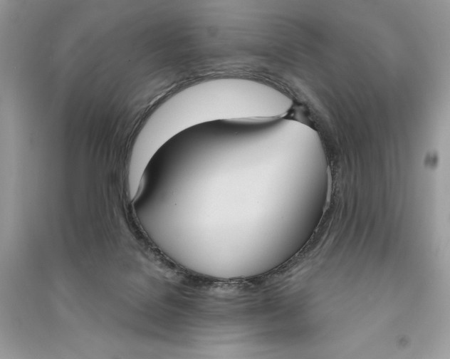 X0000090710076200708101514