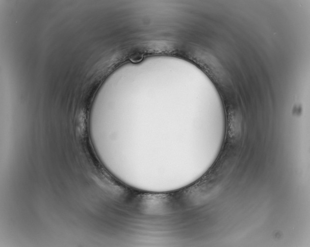 X0000090710077200708101514