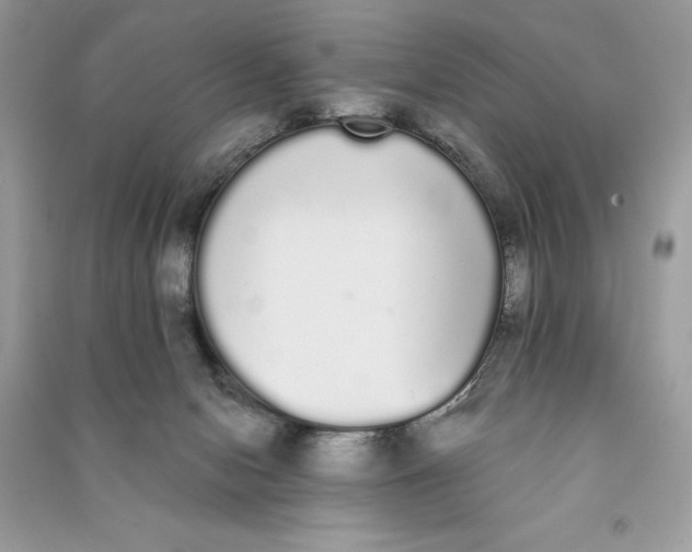 X0000090710078200708101514