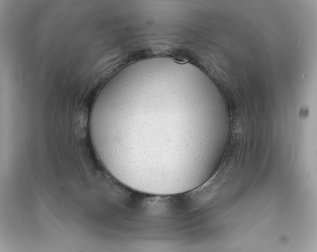 X0000090710082200708101515