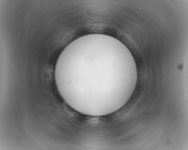 X0000090710083200708101515