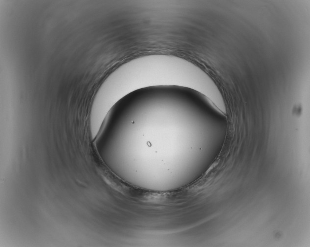 X0000090710084200708101515