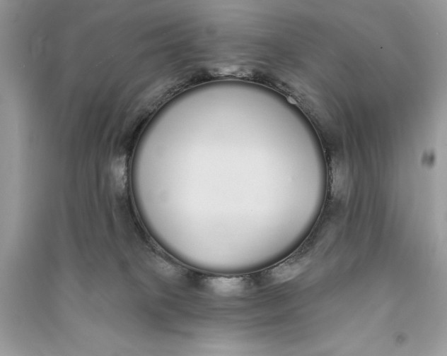 X0000090710085200708101515