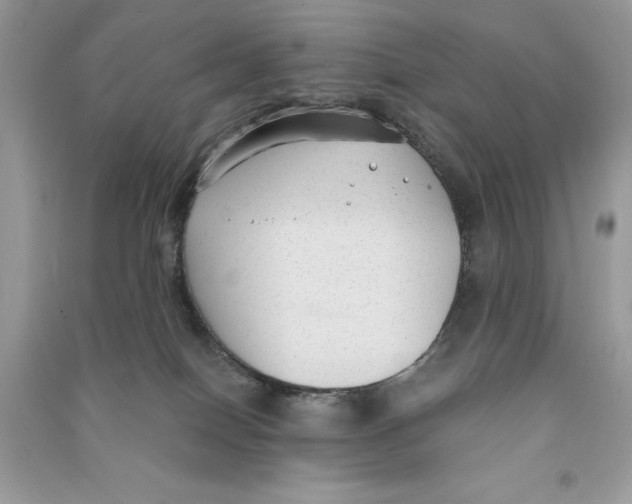 X0000090710086200708101515