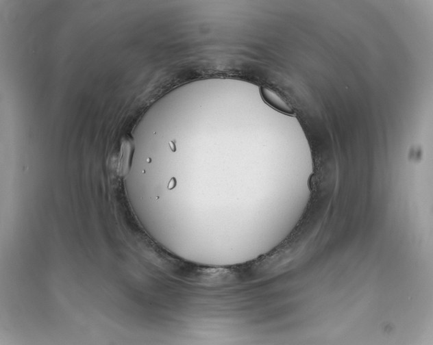 X0000090710087200708101515