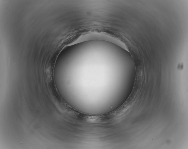 X0000090710088200708101515