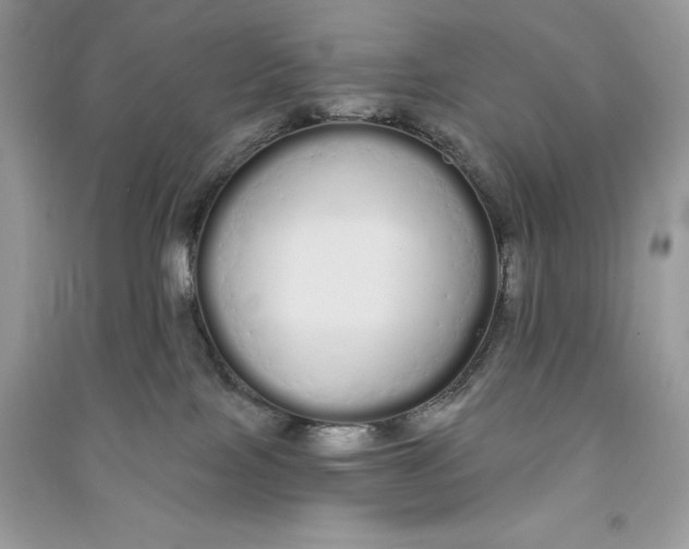 X0000090710089200708101515