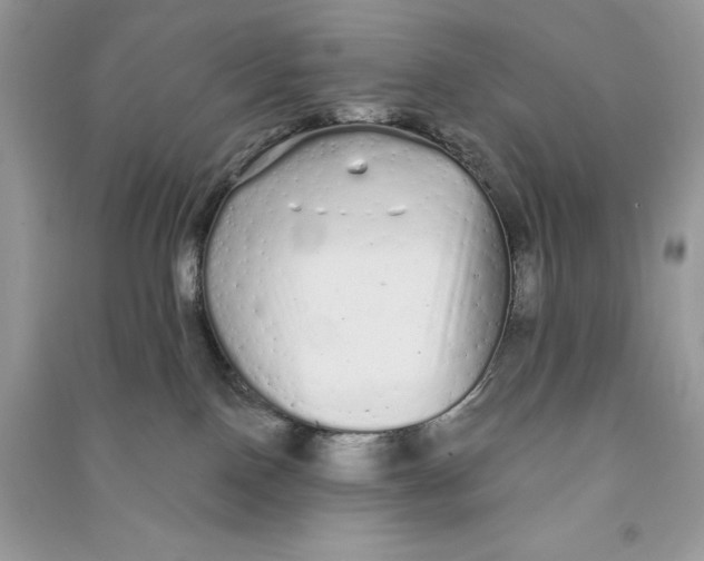 X0000090710090200708101515