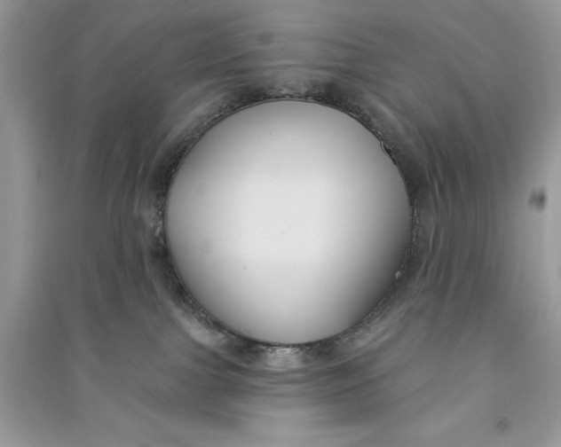 X0000090710091200708101515