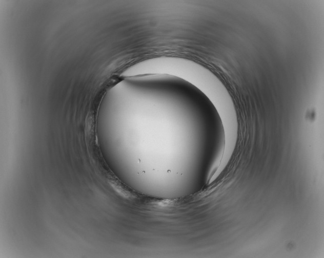 X0000090710092200708101515