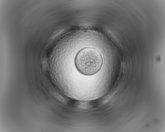 X0000090710093200708101515