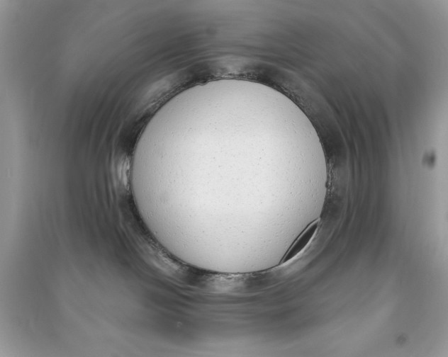 X0000090710094200708101515