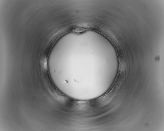 X0000090710095200708101515