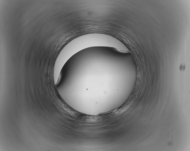 X0000090710096200708101515