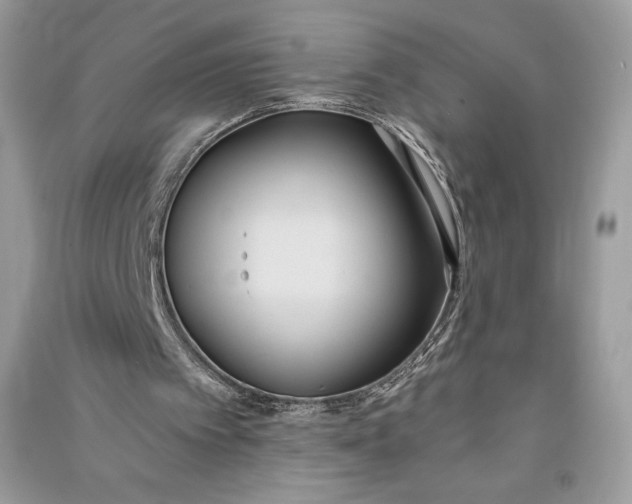 X0000090710097200708101514