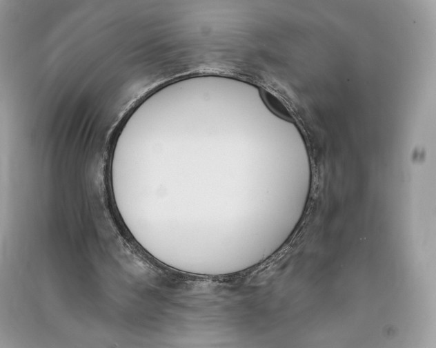 X0000090710098200708101514