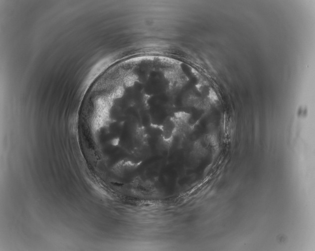 X0000090710099200708101514