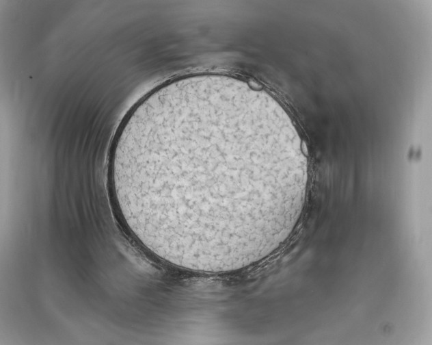 X0000090710100200708101514