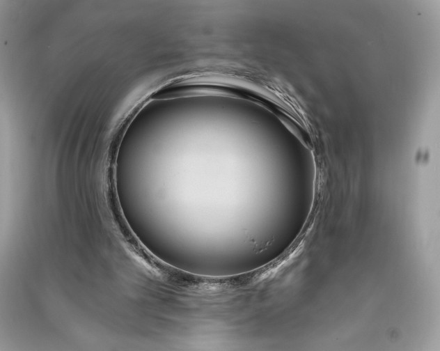 X0000090710101200708101514