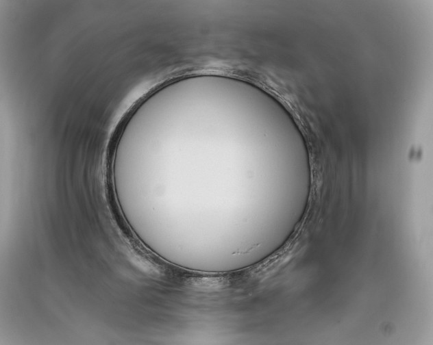 X0000090710102200708101514