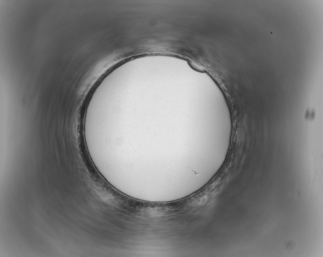 X0000090710103200708101514