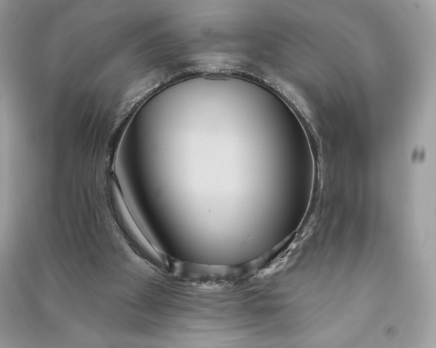 X0000090710105200708101514