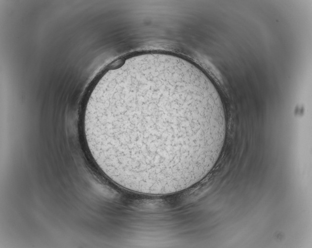 X0000090710108200708101514