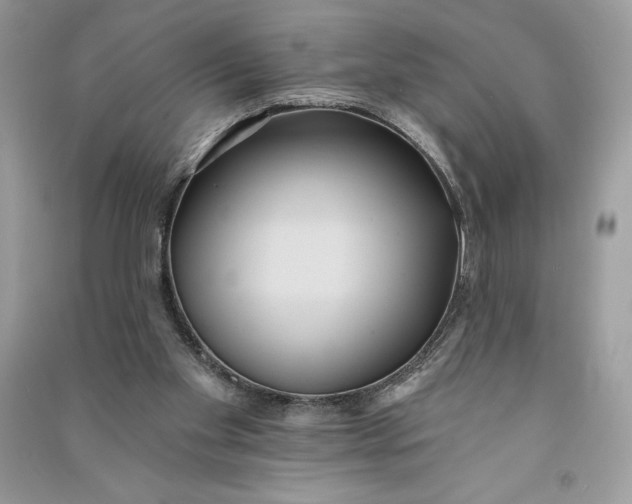 X0000090710109200708101514