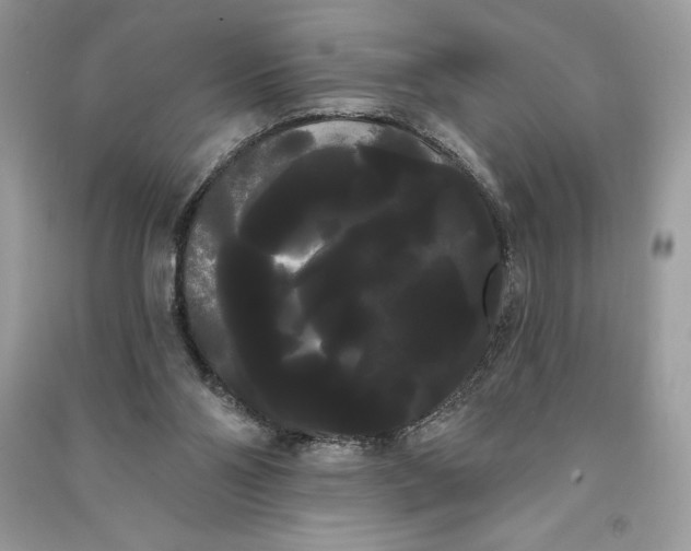 X0000090710110200708101514