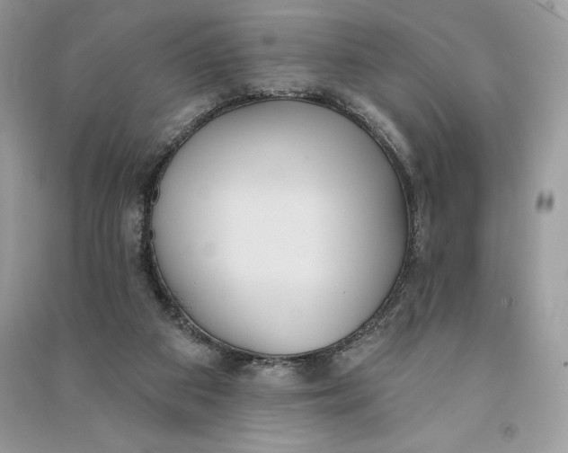 X0000090710113200708101514