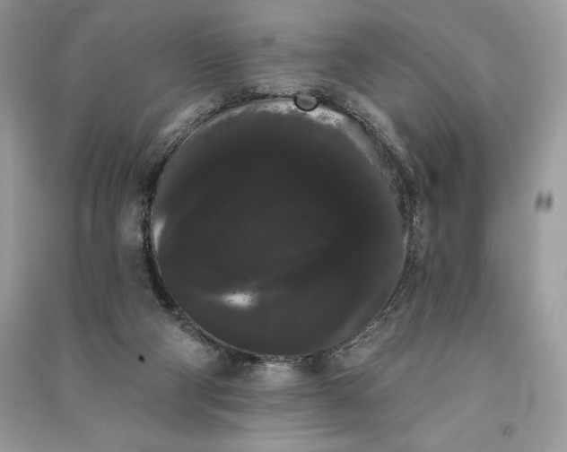 X0000090710114200708101514