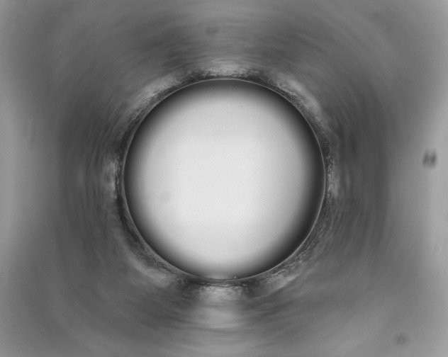 X0000090710115200708101514