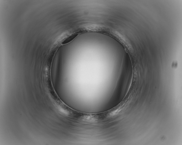 X0000090710117200708101514