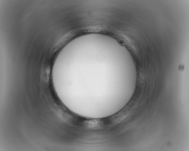 X0000090710118200708101514