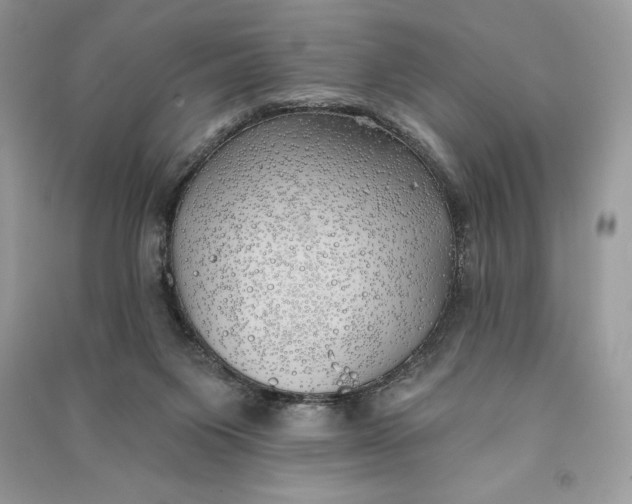 X0000090710119200708101514