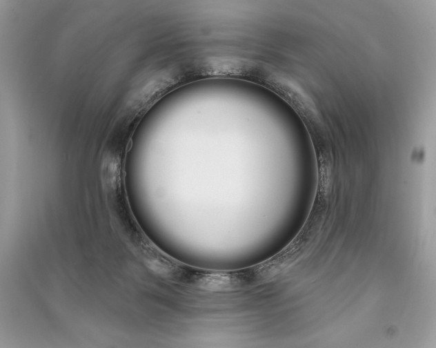 X0000090710123200708101514