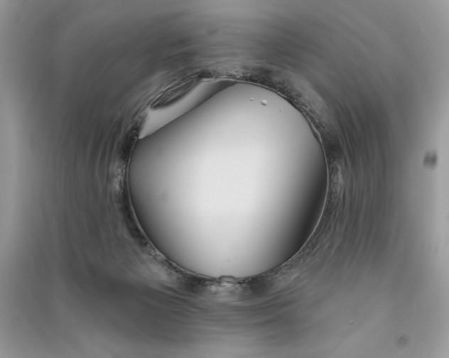 X0000090710125200708101514