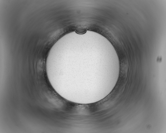 X0000090710126200708101514